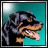 Crazy_Dog's Avatar