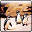 Penguins