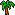 Palm Tree